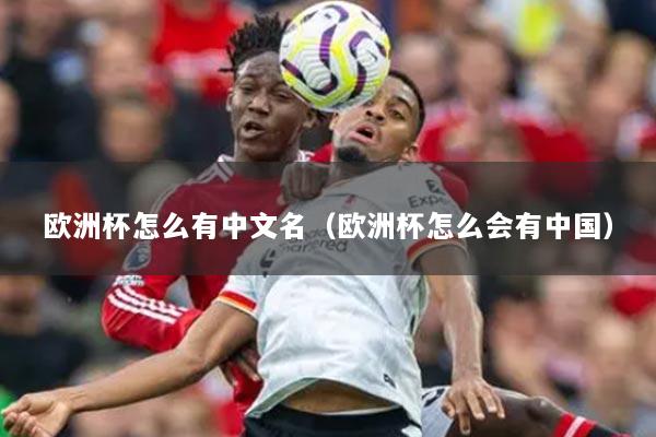 欧洲杯怎么有中文名(欧洲杯怎么会有中国)