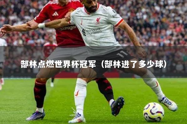 郜林点燃世界杯冠军（郜林进了多少球）