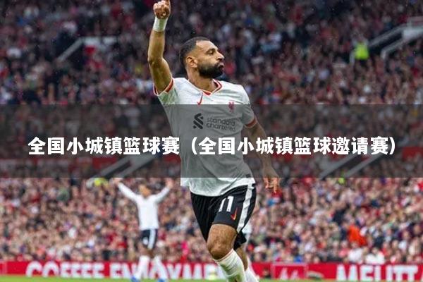 全国小城镇篮球赛（全国小城镇篮球邀请赛）