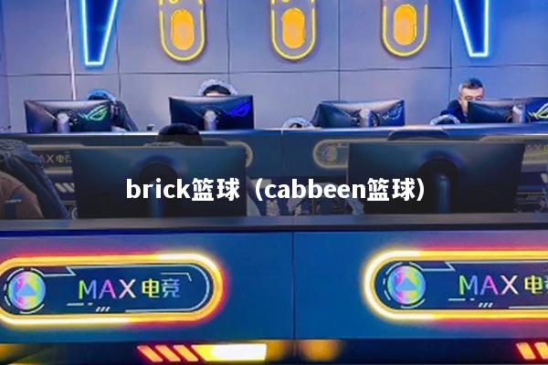 brick篮球(cabbeen篮球)