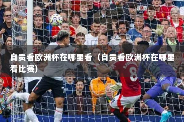 自贡看欧洲杯在哪里看（自贡看欧洲杯在哪里看比赛）