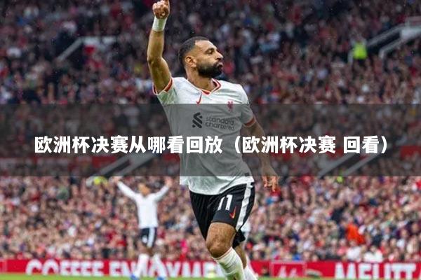 欧洲杯决赛从哪看回放（欧洲杯决赛 回看）
