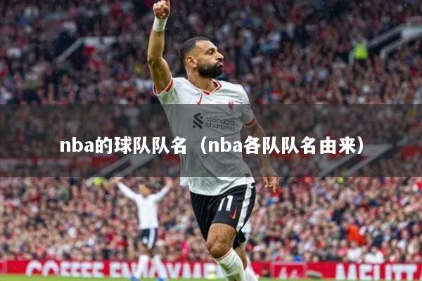nba的球队队名(nba各队队名由来)