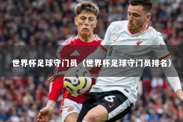 世界杯足球守门员(世界杯足球守门员排名)