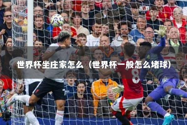 世界杯坐庄家怎么(世界杯一般怎么堵球)