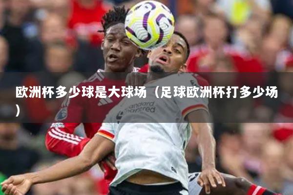 欧洲杯多少球是大球场(足球欧洲杯打多少场)