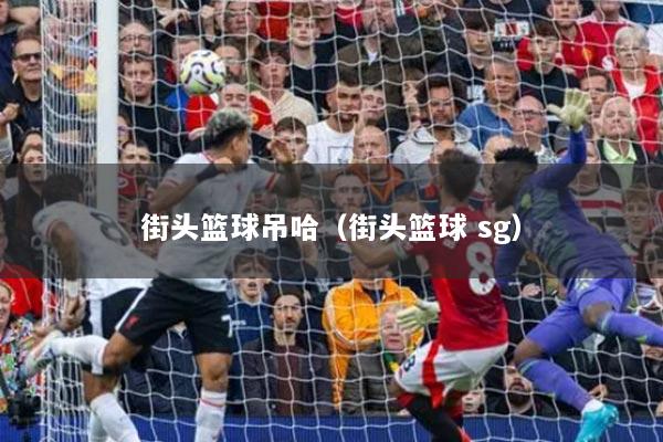 街头篮球吊哈(街头篮球 sg)