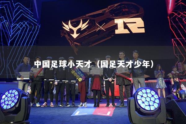 中国足球小天才(国足天才少年)