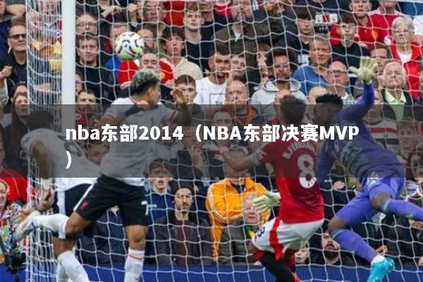 nba东部2014(NBA东部决赛MVP)