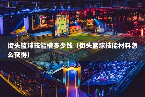 街头篮球技能槽多少钱(街头篮球技能材料怎么获得)