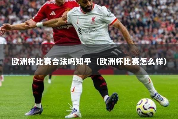 欧洲杯比赛合法吗知乎（欧洲杯比赛怎么样）