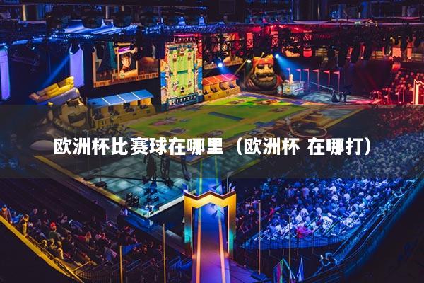 欧洲杯比赛球在哪里(欧洲杯 在哪打)