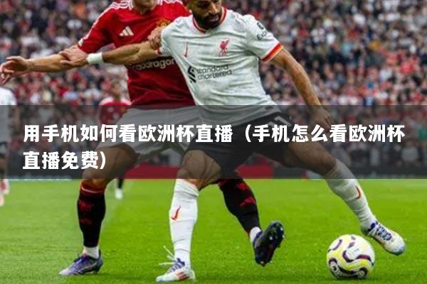 用手机如何看欧洲杯直播（手机怎么看欧洲杯直播免费）