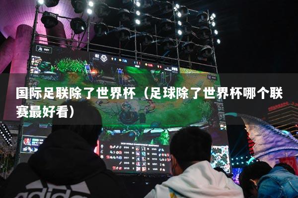 国际足联除了世界杯（足球除了世界杯哪个联赛最好看）