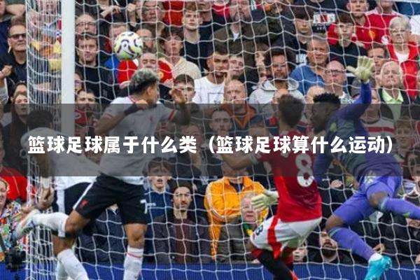 篮球足球属于什么类(篮球足球算什么运动)