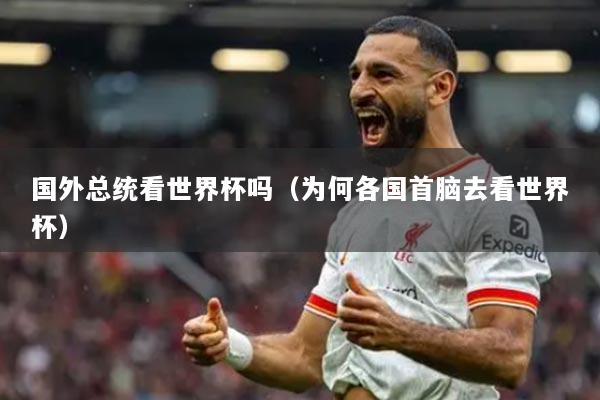 国外总统看世界杯吗(为何各国首脑去看世界杯)